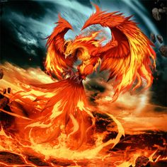 an image of a fire bird with the words, when it seems life has knocked you down