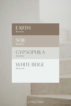 some stairs with different colors on them and the words earth in white below it are labeled gypophilia, white begge,