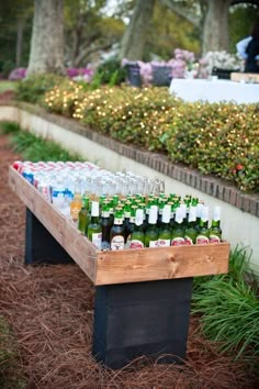 several bottles of beer are lined up on a wooden bench in front of some bushes