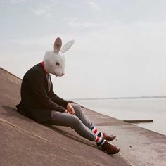 a person wearing a bunny mask sitting on the edge of a pier