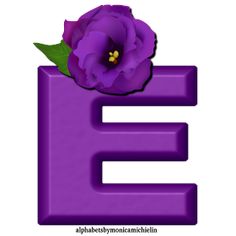 the letter e has a purple flower on it