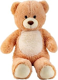 a brown teddy bear sitting up against a white background