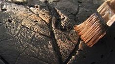 a close up of a paint brush on the side of a cracked piece of wood