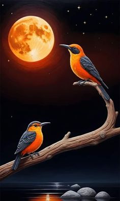 two birds sitting on a branch in front of a full moon and water with rocks