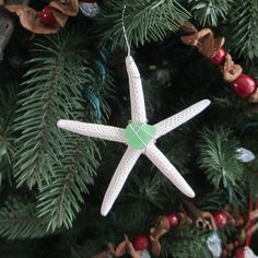 a white starfish ornament hanging from a christmas tree