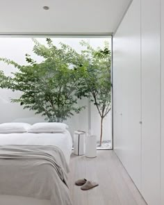 a bedroom with white walls and flooring has a tree in the corner next to the bed