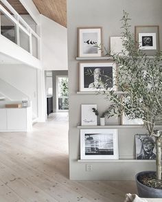 a living room filled with pictures and a tree in the middle of the room on top of a wooden floor