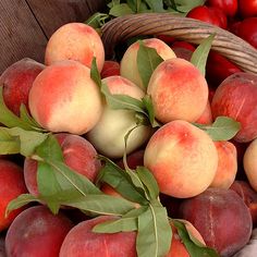 a basket filled with lots of ripe peaches next to green leaves and other fruits