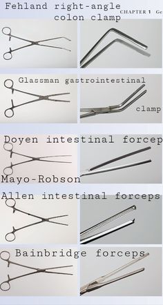 Vet Science, Surgical Tools, Nursing School Essential