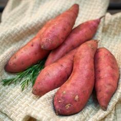 three sweet potatoes on a towel with some dill