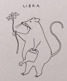 a drawing of a rat with a flower in it's hand and the words libra written on it