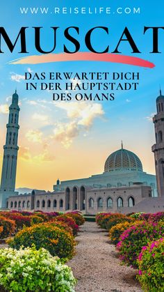 Du planst eine Oman Reise? Dann nimm dir unbedingt Zeit um die Hauptstadt Muscat zu erkunden. Welche Sehenswürdigkeiten dich in Muscat erwarten, erfährst du jetzt! Oman Reisetipps I Oman Reise I Muscat Highlights I Reisetipps I Traumreise I Weltreise I Arabien I VAE