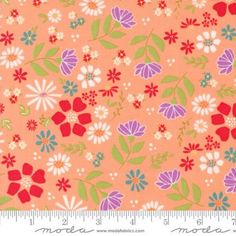 an orange background with colorful flowers and leaves on the bottom, along with a ruler