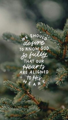 Winter Iphone Wallpaper, Pink Board, Christmas Bible Verses, Winter Iphone, Christmas Bible, Bible Quotes Wallpaper, Church Quotes, In Christ Alone