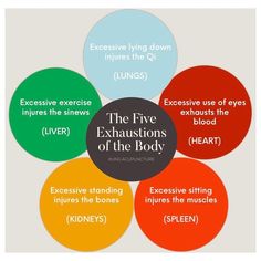 Spleen Health, Polarity Therapy, Blood Heart, Body Chart, Earth Magic, Wellness Centre, Holistic Health Coach, Finding Balance