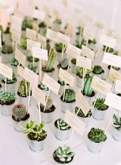 there are many potted plants on the table with signs attached to them for sale