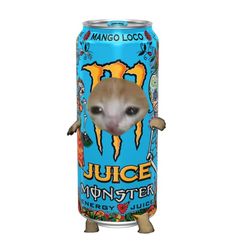 Sad cat in a can, monster, juice, mango loco, blue