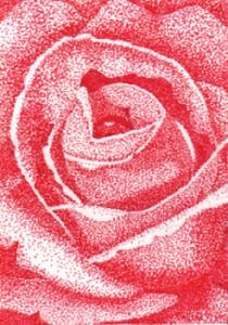 a drawing of a rose on a red background