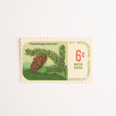 a postage stamp with a pine cone on it