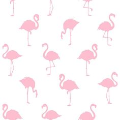 sample lovett pink flamingo wallpaper from design department by brewster 1 Pink Flamingo Wallpaper, Flamingo Wallpaper, Woven Wallpaper, Pink Flamingo, Pink Flamingos, Flamingo, Pink