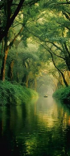 an image of a river that is surrounded by trees and grass in the middle of it