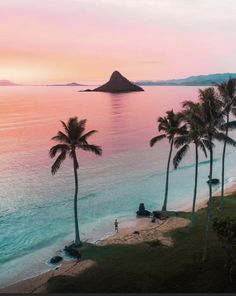 palm trees line the beach as the sun sets over an island in the distance with people walking on it