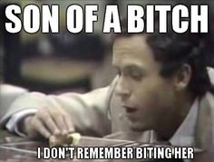 Ted bundy Ted Bundy Memes, Ted Bundy Pictures, Gallows Humor, Killer Quote, Sick Humor, Black Comedy, Dark Memes