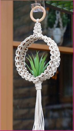 an air plant hanging from a rope with a ring around it's center piece