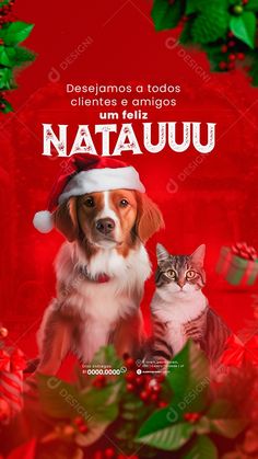 a dog and cat wearing santa hats on top of a red background with holly leaves