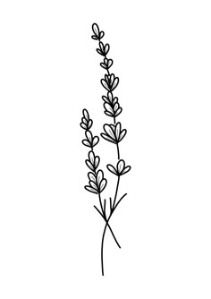 a black and white drawing of some flowers