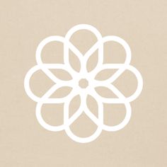 a white flower on a beige background with the word,'flowers'in it