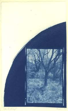 an image of trees in the woods taken from inside a window with blue tint