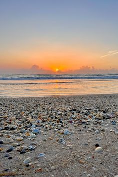 the sun is setting over the ocean with many shells on the beach and in the foreground