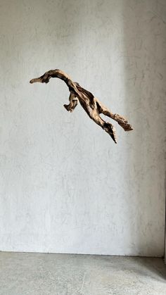 a piece of driftwood is suspended in the air by a rope on a white wall