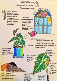 an image of plant care guide