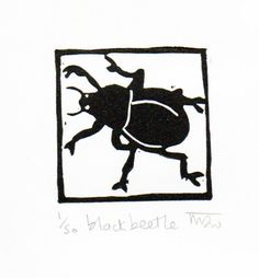 a drawing of a beetle on a white background