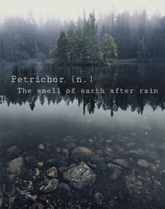 an image of a lake with the words petrictor on it's screen