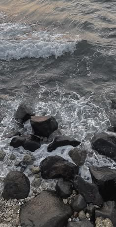 there is a bird that is sitting on the rocks by the water's edge