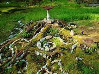 a birdbath sitting on top of a pile of rocks in the middle of a field