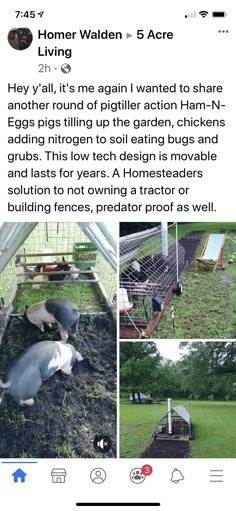 an instagramted post about the farm animals