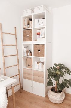 a white bookcase with baskets and books on it next to a plant in a pot