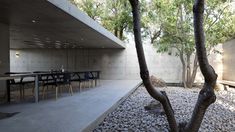 an outdoor dining area with tables and chairs next to a large tree in front of a concrete wall