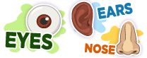 an eye and nose stickers are shown