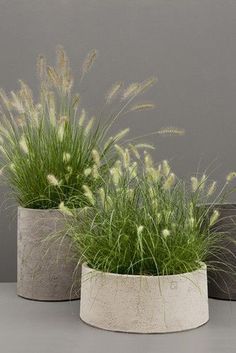 two cement planters sitting on top of a table next to each other with grass in them