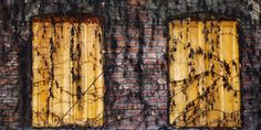 two windows with vines growing on them in front of a brick wall that has been burned