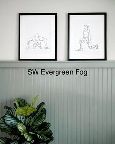 two black and white drawings on the wall above a potted plant