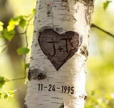 a heart carved into the bark of a birch tree with initials on it and date