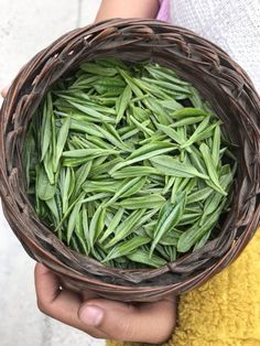 a person holding a basket filled with green leaves