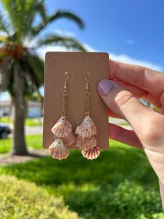 Kitten Paw Shell Earrings - a beautiful example of nature's simplicity and elegance. Hand-collected from the beaches of Venice, Florida, these earrings feature small, seashells. Each seashell showcases its unique form and color, adding a touch of individuality to every pair. Wear a piece of Venice with you wherever you go, and let these Seashell Earrings become a symbol of coastal charm and effortless beauty. Shell Earrings Diy, Beach Jewelry Aesthetic, Beachy Clothes, Anting Manik, Venice Florida, Beachy Jewelry, Seashell Earrings, Beach Earrings