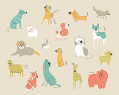 an image of many dogs in different colors